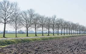 polder polder