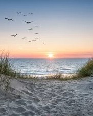 Roger Henderick Roger Henderick